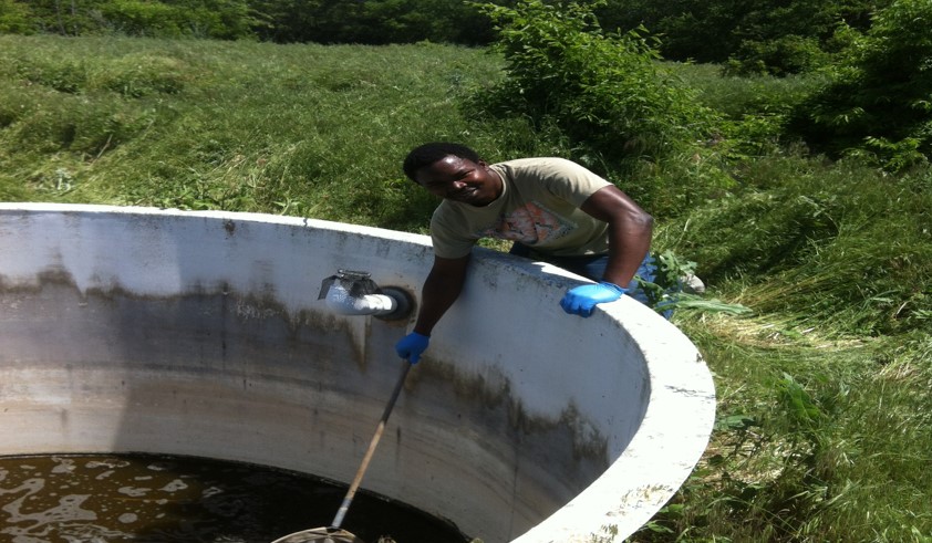 Ade with mosquito pond